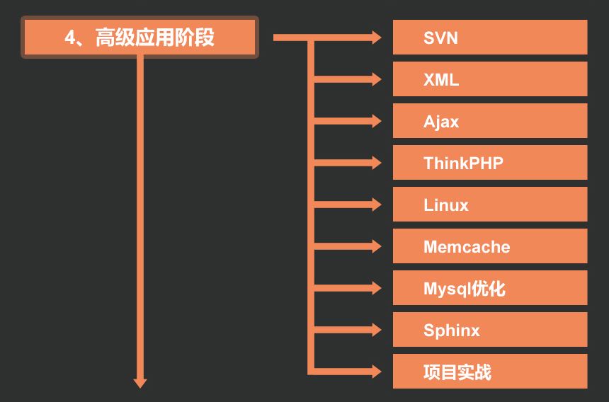 4.高级应用阶段