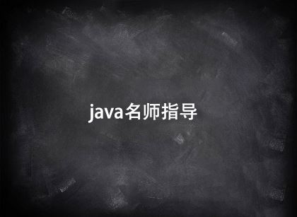 java名师指导