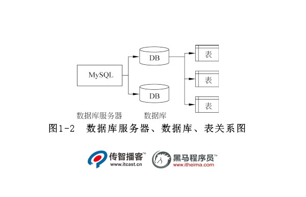 数据库结构