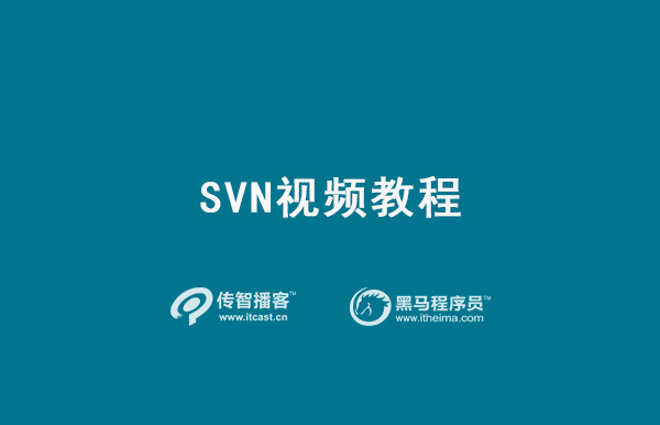 SVN视频教程