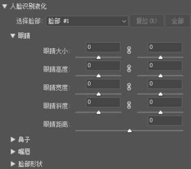 人脸识别液化